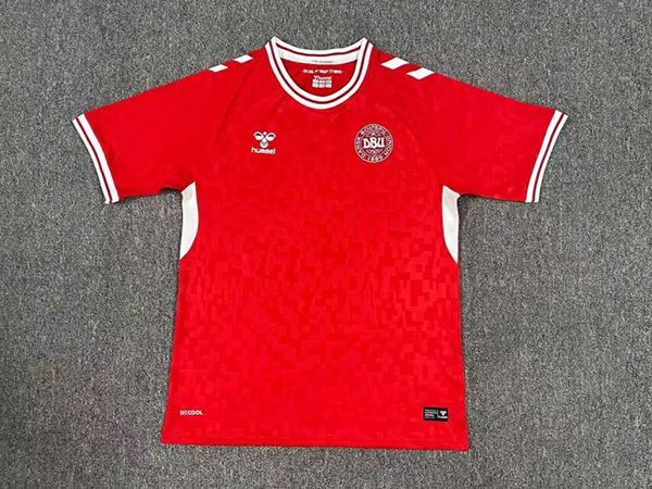 2024 Euro Cup Denmark Home Red Color Football Jersey