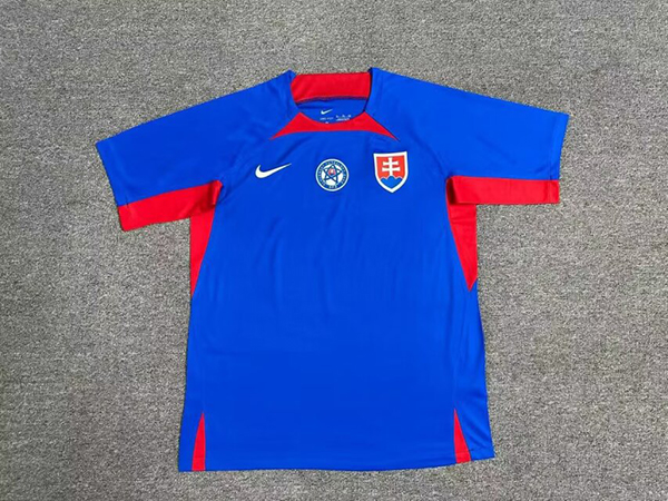 2024 Euro Cup Slovakia Home Blue Color Football Jersey