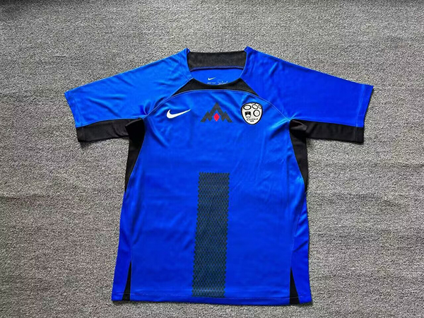 2024 Euro Cup Slovenia Home Blue Color Football Jersey