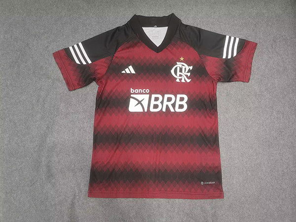 23-24 Season Flamengo Special Version Red Color Football Training Shirt