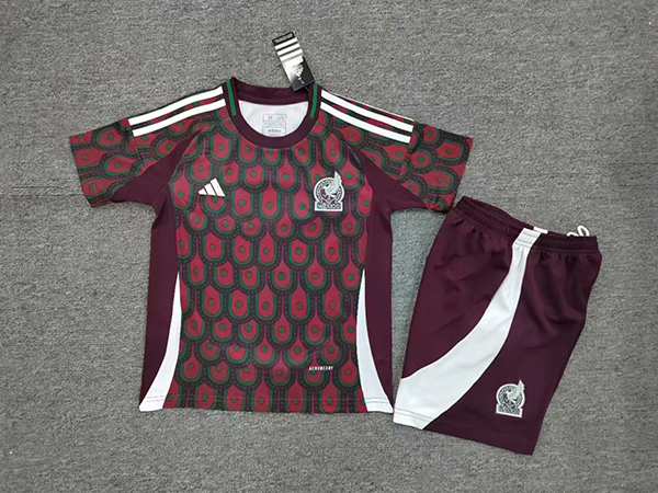 24-25 Season Mexico Away Red Color Youth Kids Football Uniform