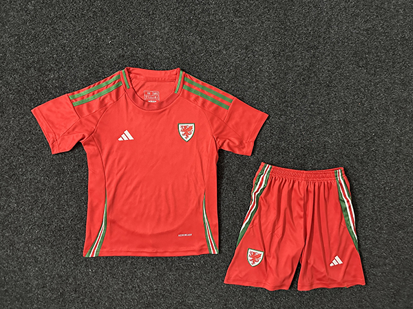 24-25 Season Wales Home Red Color Kids Football Uniform